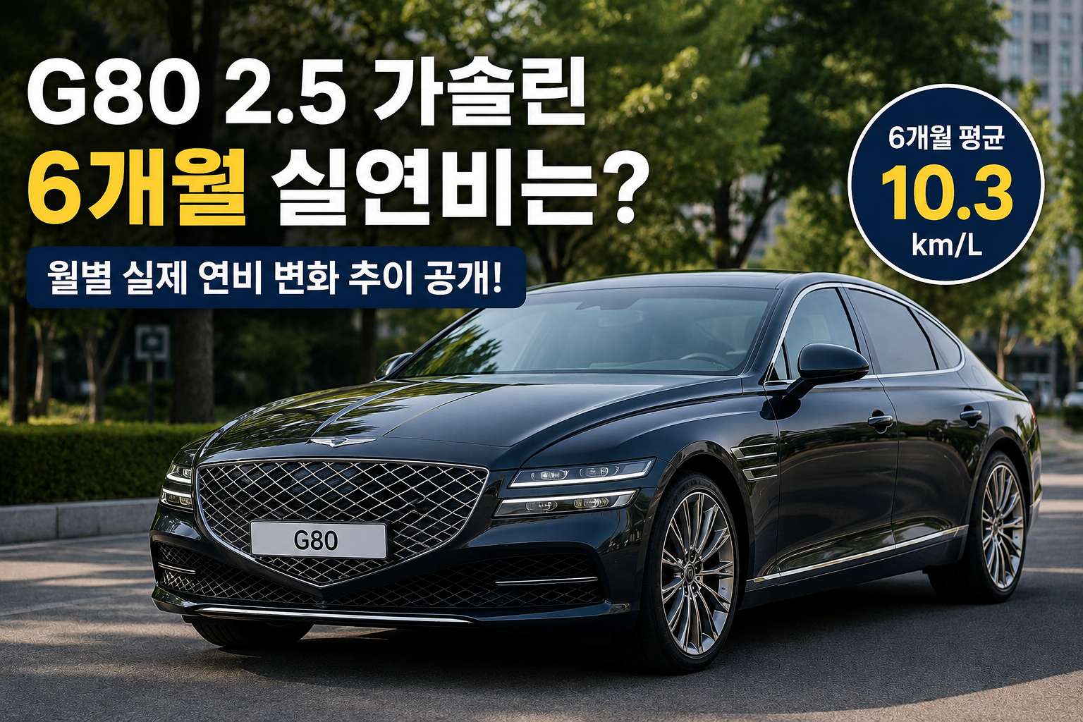 제네시스 G80 연비